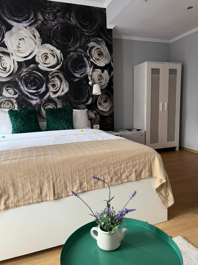 Artmotel & Bistro Haţeg Εξωτερικό φωτογραφία